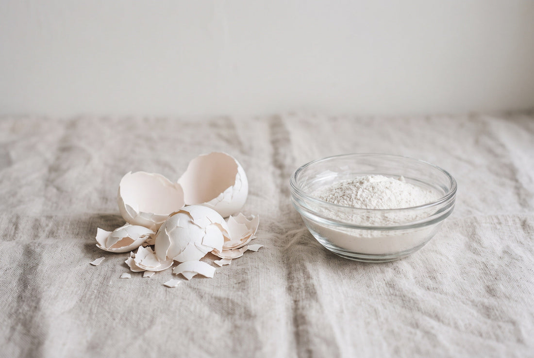 Broken eggshells and a dish of white calcium powder on linen